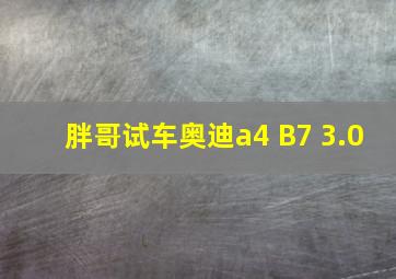 胖哥试车奥迪a4 B7 3.0